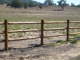Cedar Fence Post